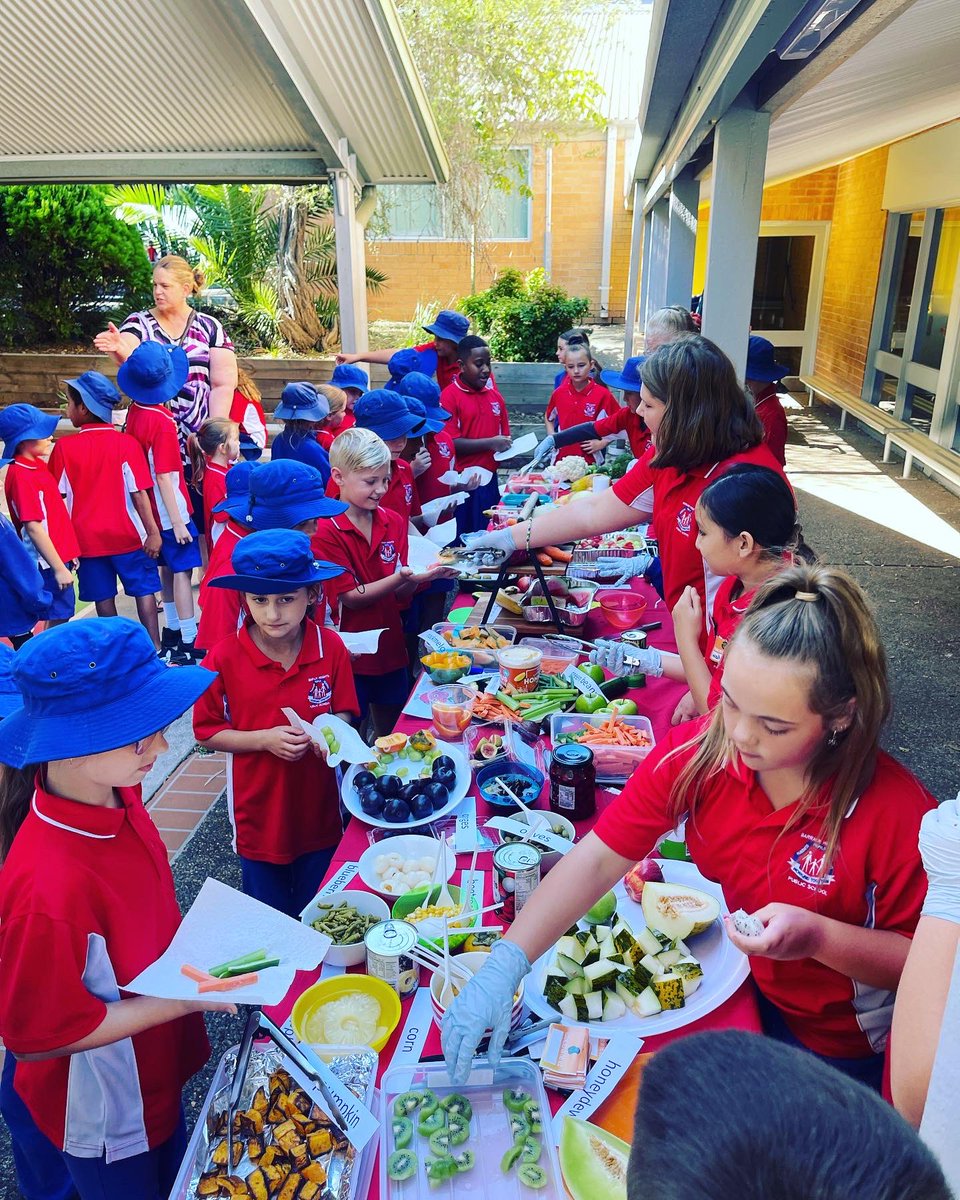 Barrack Heights Public School tweet media