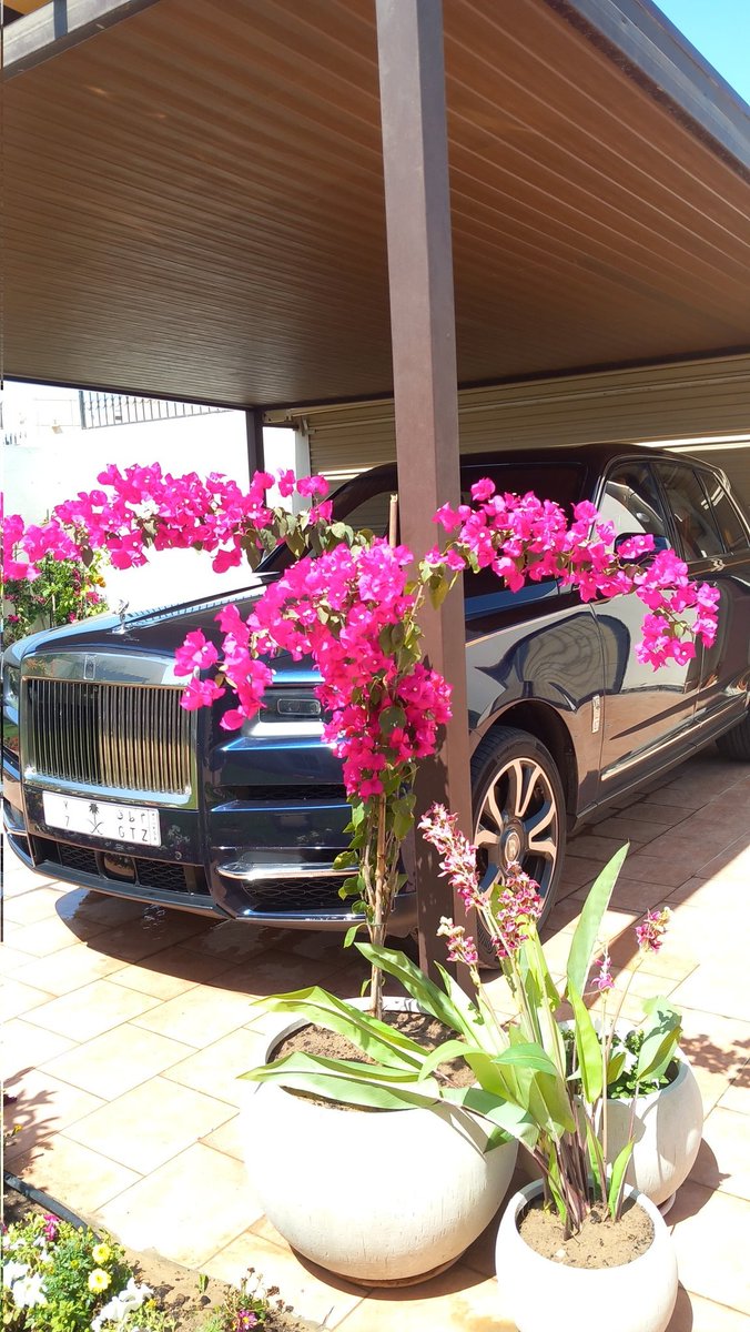 Muhammad shaid Mia (@shaidmia) on Twitter photo 