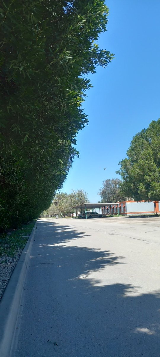 Muhammad shaid Mia (@shaidmia) on Twitter photo 