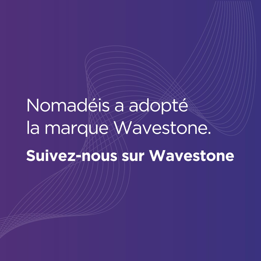 Nomadeis tweet media