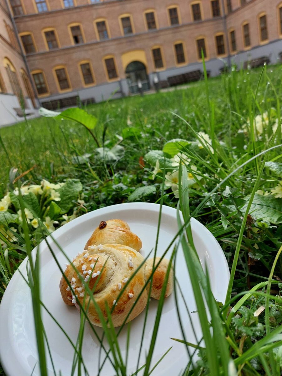Pferdeschule's tweet photo. Bevor wir in die Osterferien gestartet sind wurde noch fleißig gebacken und gekocht. https://t.co/MCPHSNK86T