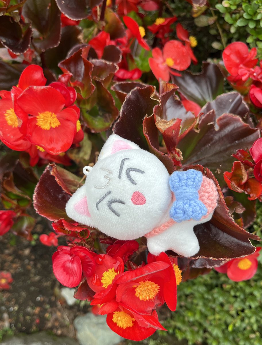 ☁️

🍃┌(⊼⌔⊼)ʃ🌺ƪ(⊼⌔⊼)ʃ🌺ƪ(⊼⌔⊼)┐🍃