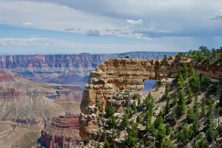 Geotechpedia's tweet photo. The Most Breathtaking Views of the Grand Canyon
https://t.co/mYOq76dABe
#grandCanyon #Geology #formation #USA https://t.co/YnP7c3ttWM