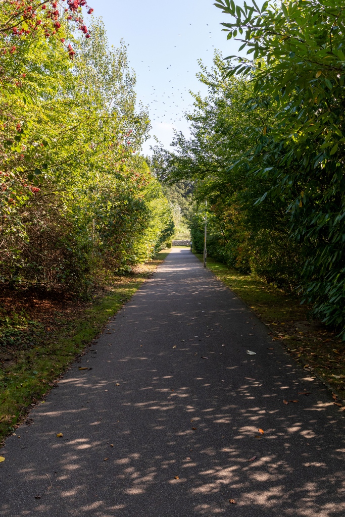 The days are getting longer &amp; summer is only a short time away. We have several walkways for you to enjoy &amp; take in the stunning wildlife we have! Why not see what you can spot whilst getting your steps in on a relaxing lunchtime walk? 

#wildlife #walks #nature #dailysteps