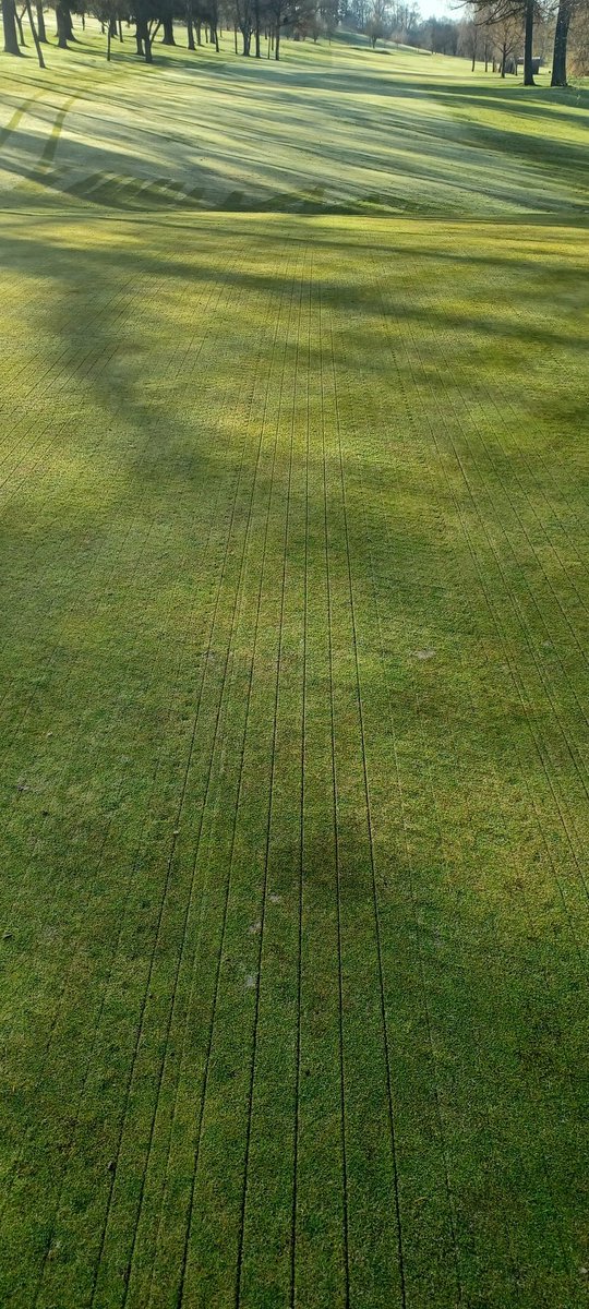 DNGCGreenstaff's tweet image. @dodger1874 from @LoganTurf helping with winter recovery, seeding greens with @GerminalAmenity 007 creeping bent.