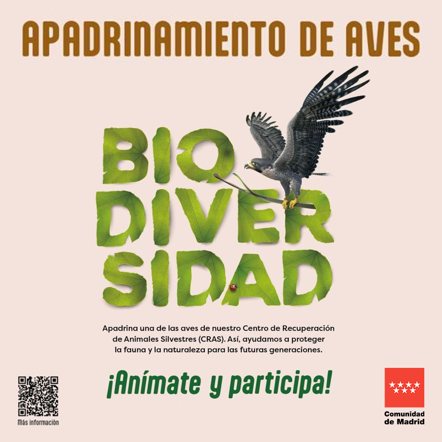 medioambientecm's tweet photo. 🌿 La @ComunidadMadrid te acerca a la naturaleza:
🦅 Apadrina un ave de las que atendemos en el Centro de Recuperación de Animales Silvestres.
🌳 Te informaremos de su estado y, en cuanto esté recuperada, la devolveremos a su hábitat natural.
+Info: https://t.co/tEmn5ecnQ9 https://t.co/LC2Lex91a3
