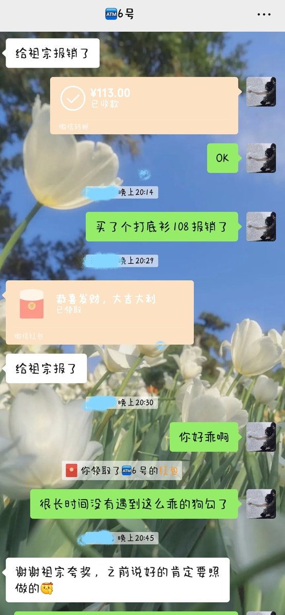 nihuidie11's tweet photo. 有的狗还在偷窥 而聪明的狗已经开始找我 享受这种沉沦的感觉了 躲在背地里偷窥的傻逼真是胆小又弱智呢
#女S调教 #ATM提款机 #提款机奴 #贡狗 #傻逼 ＃女尊男卑 #发情 #吸金 https://t.co/Rbb8BE6GHw