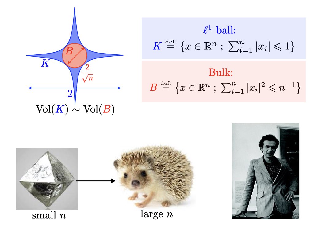 gabrielpeyre's tweet photo. Vitali Milman's insight: convex sets in high dimension look like hedgehogs https://t.co/xdbLAB8FWi https://t.co/1QbQ7KFNjJ