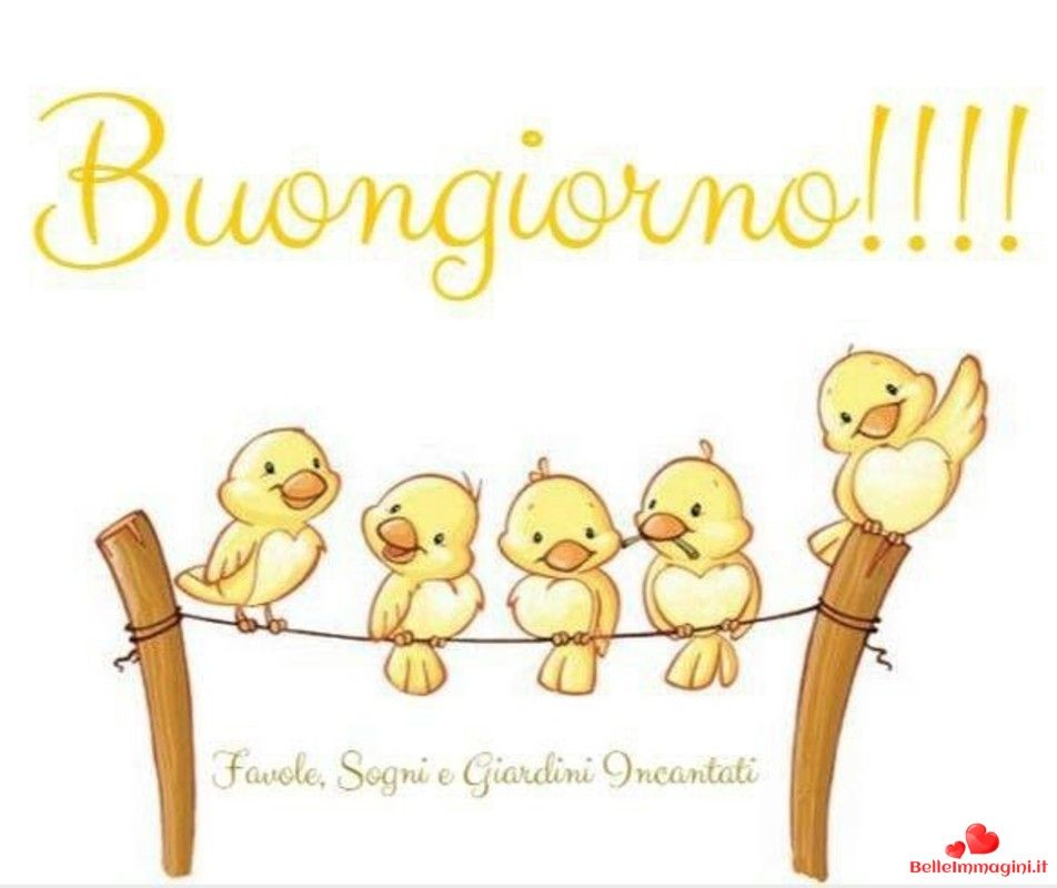 AngeloMondin4's tweet photo. @_Meli_P https://t.co/my0LGghEPd