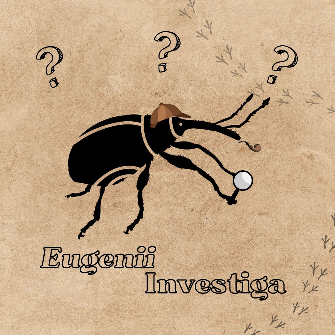 invasapp's tweet photo. El nostre amic #Eugenii ens ha dit que està cercant aventures i coneixement! 

🟢 El seu objectiu és conèixer millor als #insectes #exòtics que podrien arribar a les Illes Balears, i establir-se finalment com a #invasores 

#EugeniiInvestiga
🧵👇 https://t.co/worK3E4GC9
