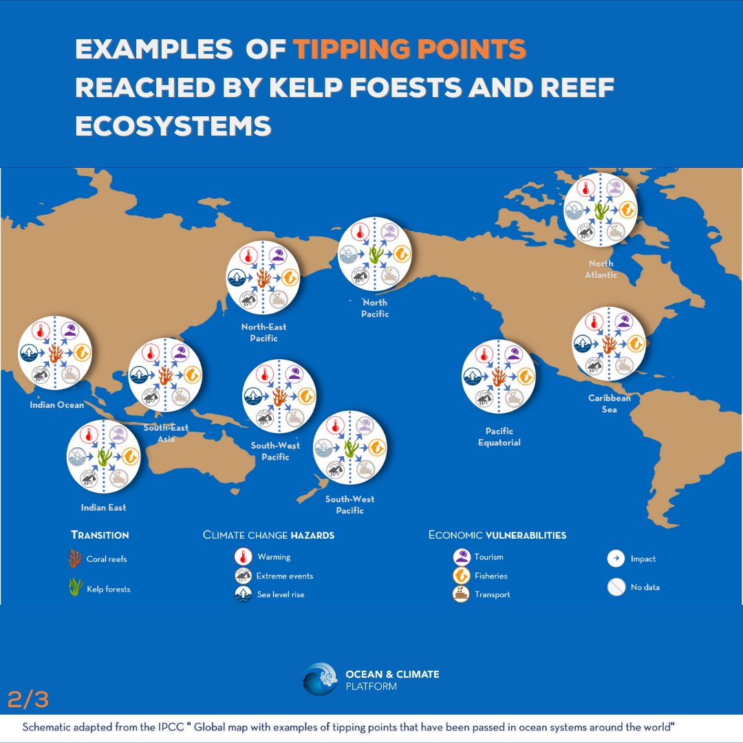 ocean_climate's tweet photo. [#WhatOceanForTomorrow]🤔Why are marine #ecosystems said to be reaching #tippingpoints?
🌊Faced w/ rapid changes in the #ocean, marine ecosystems, e.g. #kelps &amp; #corals must reorganise, with lasting consequences for life at 🌊 &amp; on earth 🏖️

Learn more 👉 https://t.co/2qdzfUX96A https://t.co/Jswn12B8PJ