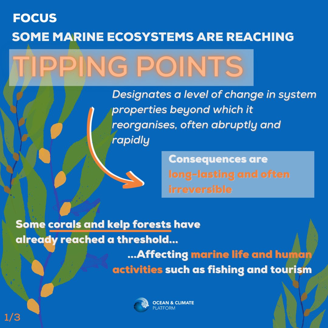 ocean_climate's tweet photo. [#WhatOceanForTomorrow]🤔Why are marine #ecosystems said to be reaching #tippingpoints?
🌊Faced w/ rapid changes in the #ocean, marine ecosystems, e.g. #kelps &amp; #corals must reorganise, with lasting consequences for life at 🌊 &amp; on earth 🏖️

Learn more 👉 https://t.co/2qdzfUX96A https://t.co/Jswn12B8PJ