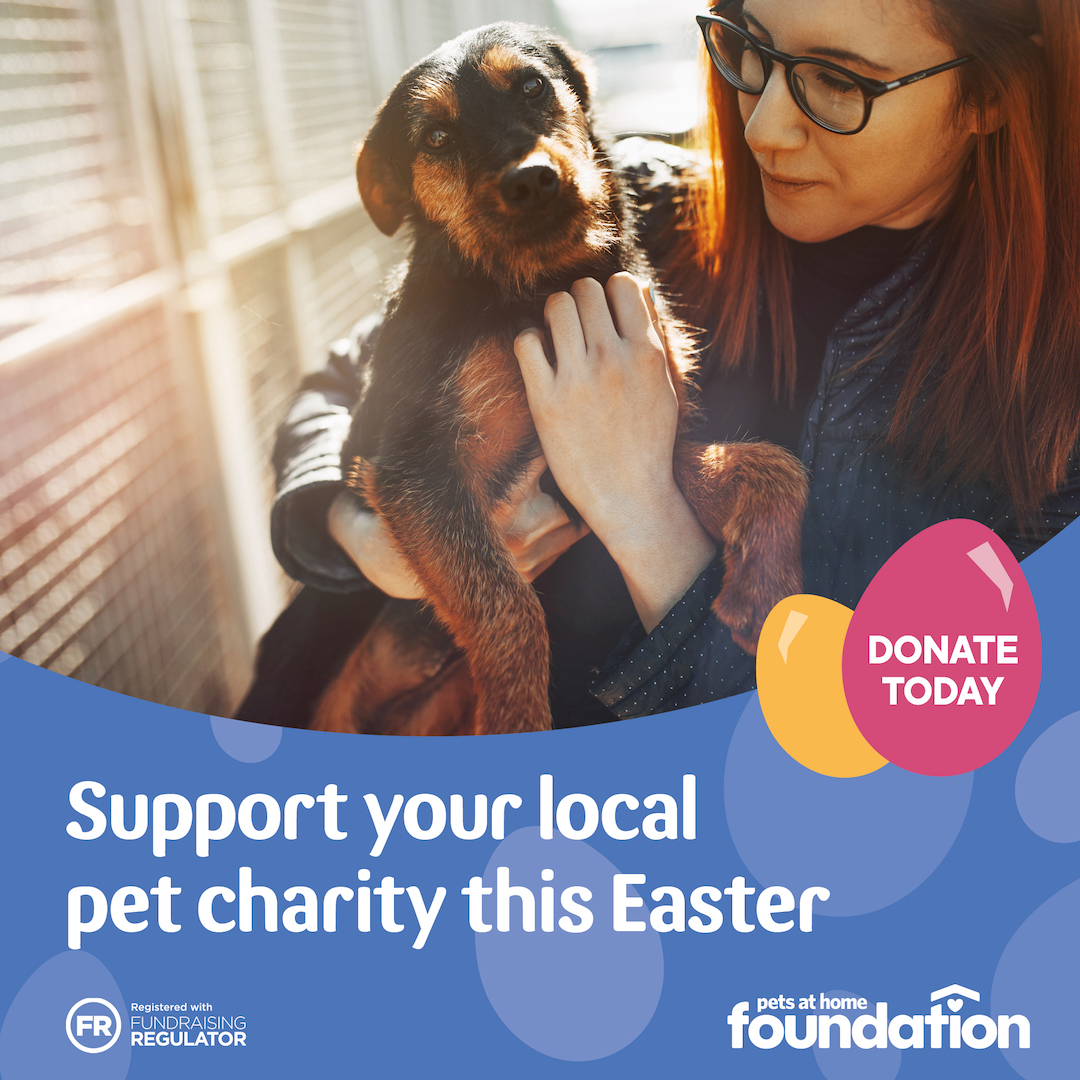 petsfdtnuk's tweet image. Today is the first day of our #EasterAppeal. 

All monies raised will be donated to local animal organisations or used by our grant programme to help support pets and the people who love them.

You can donate in @PetsatHome stores at the till or online 👇
petsathomefoundation.co.uk/easter-appeal
