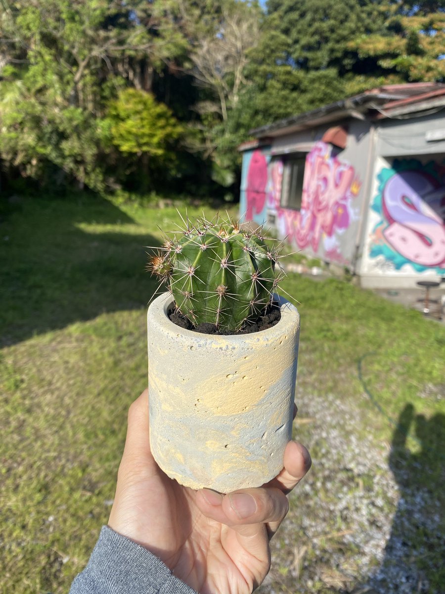 ぽにょ❁様 ポニョえもんZZ on X