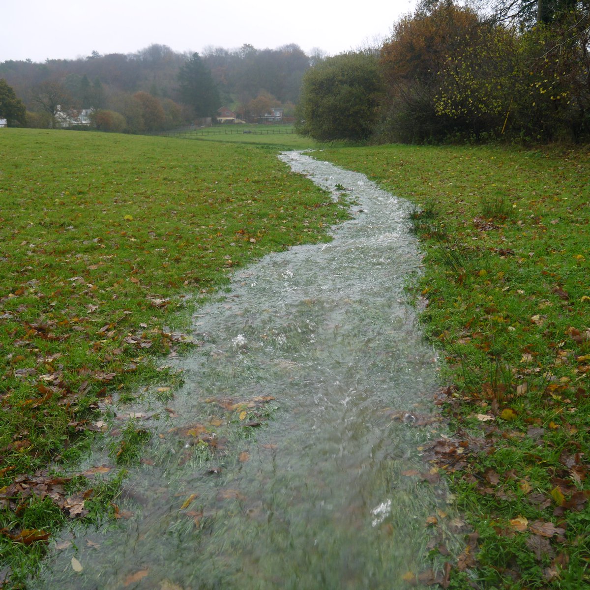 ⚠️'Unnatural' water runoff pollutes rivers and can cause  flooding. 
🟤Unnatural runoff = brown due to soil erosion usually seen exiting field gateways.
🔵Natural runoff = clear and  found near wetlands. 
📞 Report 'unnatural' runoff to our 24/7 incident hotline on 0800 807060.