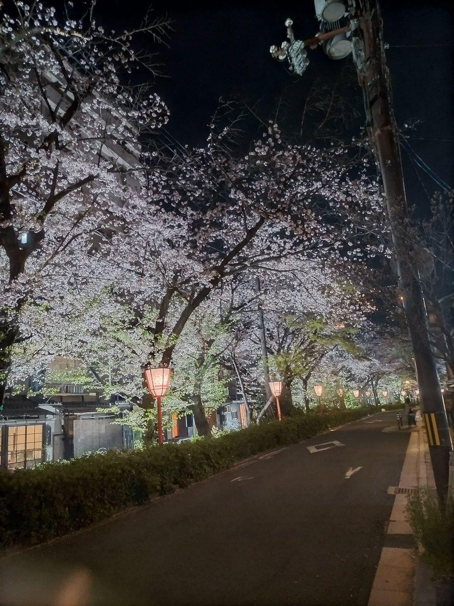 moatxbear's tweet image. 昨日は、高校の時に追っかけてたバンド『7seven』が23年ぶりのワンマンライブをやるという情報が入り行ってきました🥰
メンバーのみなさんも私達も、歳こそとってたけど、その他は何も変わらない、あの時のままでした✨
みんなめちゃくちゃかっこよかったし、めちゃくちゃ楽しかった🔥

#7seven
#京都