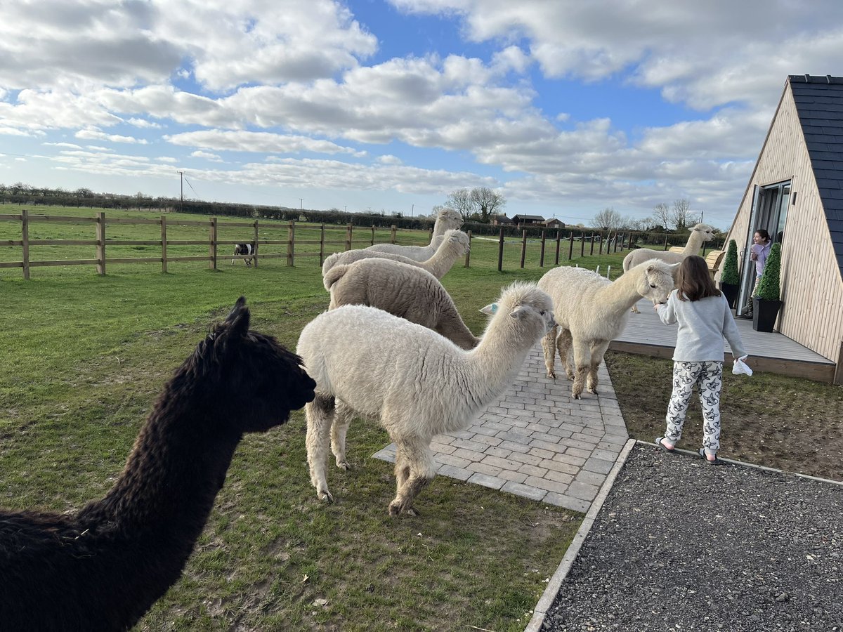 Ceridwen Eccles tweet media