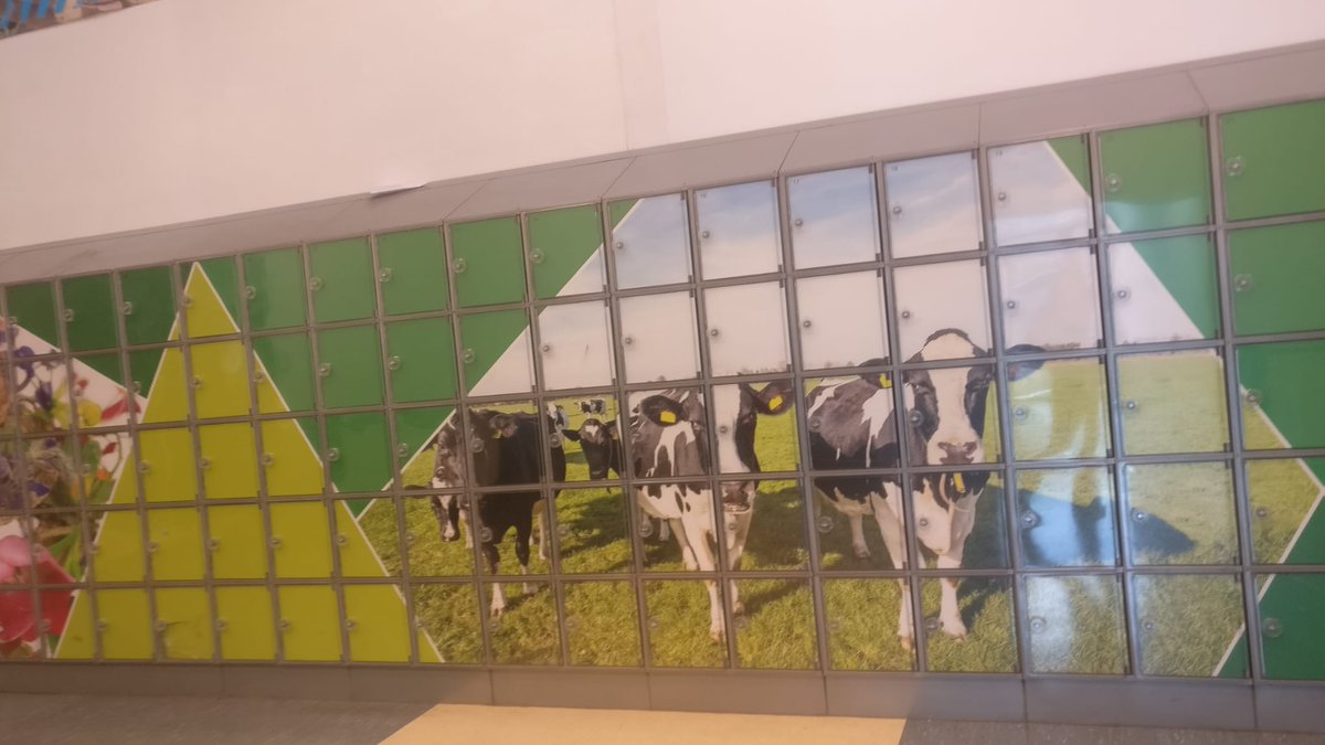 cpifpmontearago's tweet photo. Turno de las profesoras del CPIFP que han realizado una movilidad para conocer los sistemas educativos neerlandés y alemán y sus mercados laborales previendo los trabajos del futuro gracias a los Programas de Movilidad FP cofinanciados por la UE.#ProgramaAcademia #sepie #erasmus https://t.co/eO14PZN0Qr