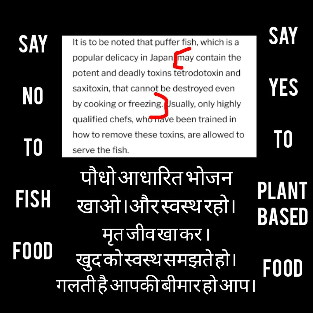 VeganDisha's tweet photo. Fish put elderly couple's lives in danger husband is in coma and wife died. So sad βΉοΈ read full news π
.
.
.
#fishfeelpain #justice #letFishLive #fishsave #vegandirectionindia #liveveganindia #goveganindia https://t.co/ScwnotHtLW