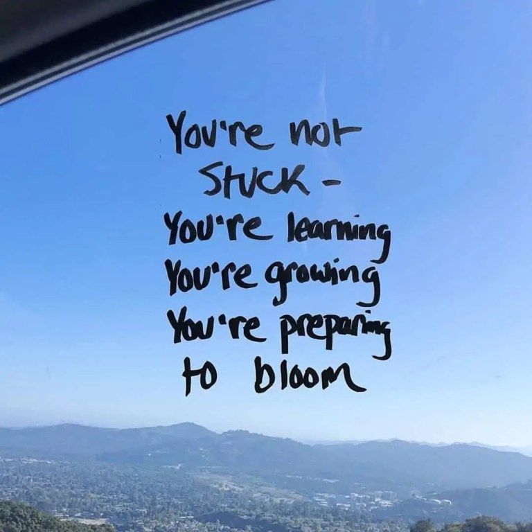 Celine (@celineroseeee) on Twitter photo 