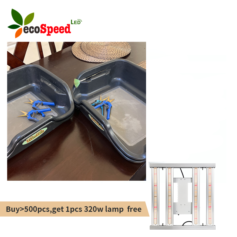 Fannylee188's tweet photo. ecospeedled In stock trimming tray set items in stock,ready for shipping
If order over 500pcs,get 1pcs 320w grow light for Free #trimmingtray #growtray #medicalherb #flower #freeledgrow https://t.co/M0o7fNAS2g