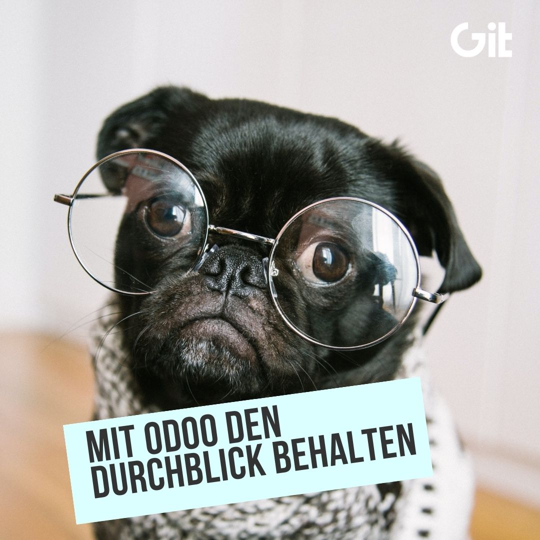 Mit Odoo den Durchblick behalten
git.gmbh/r/yHY

#odoo #odoodeutschland #odooerp #gitgmbh #odoopartner #odoosupport #odoodevelopment #odoomigration #erpsoftware #erpsolution #business #businessmanagement #unternehmen #technology #technik #itcompany