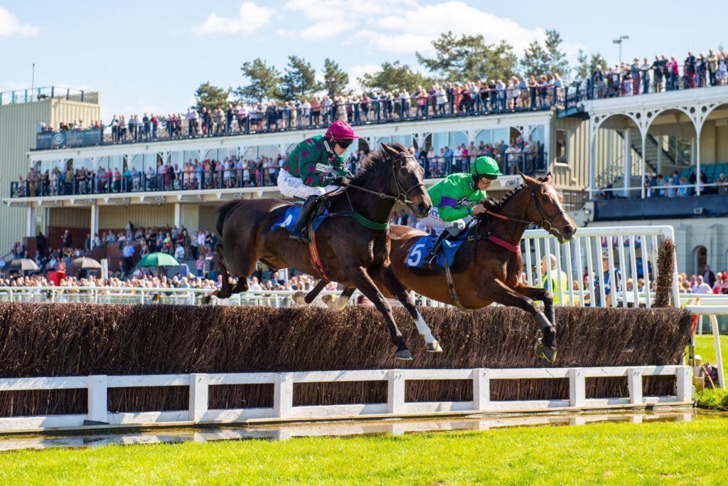 BenBeard2's tweet image. 💷 If Space Voyage wins the 14:30 at Ludlow today for Olly Murphy I’ll give one of you £40 in CASH! 

To Enter Simply ⬇️

1️⃣ RT this Tweet 🔄
2️⃣ Like this Tweet ❤️ 
3️⃣ Follow @BenBeard2 

YOU MUST follow the account to be in with a chance!