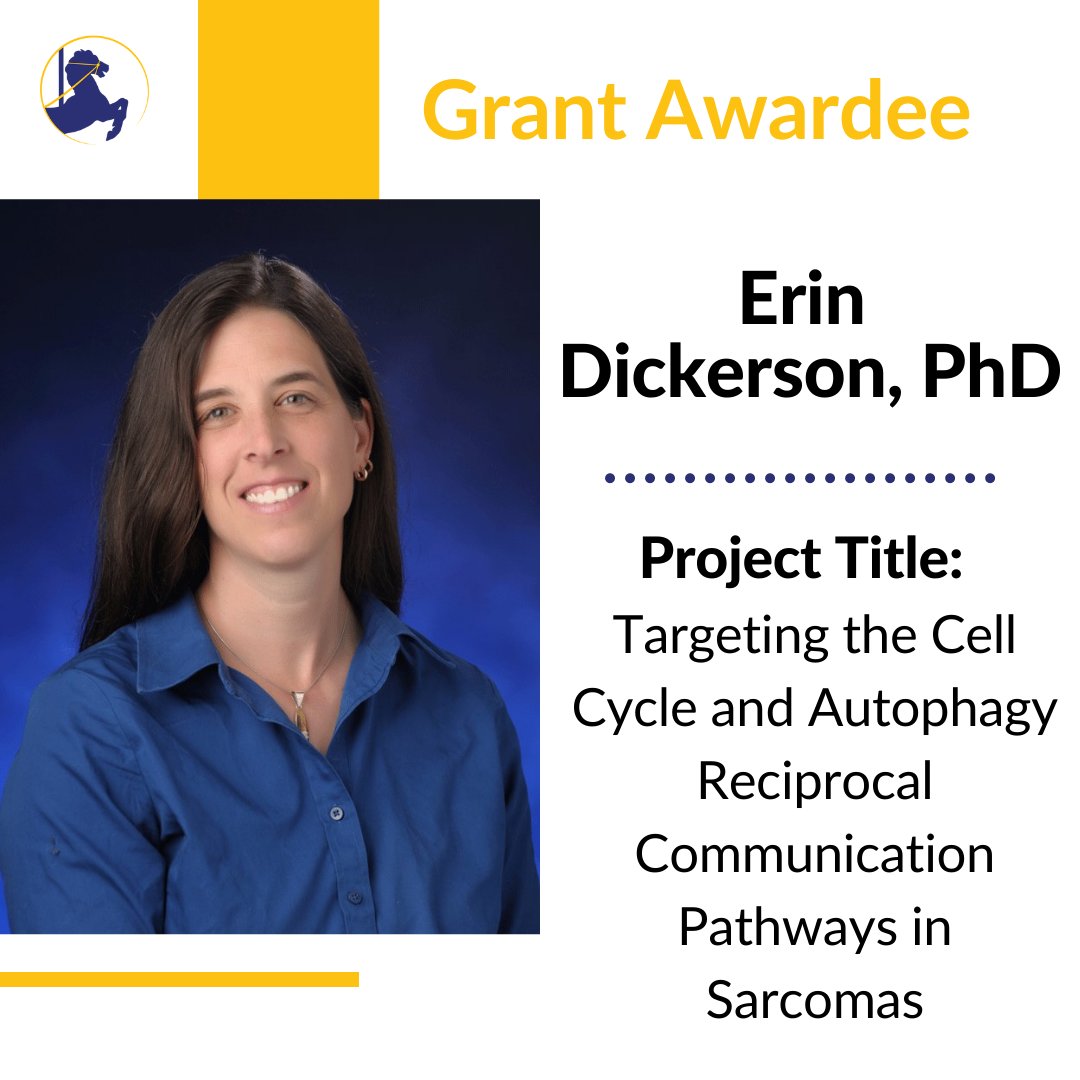 reininsarcoma's tweet photo. We are excited to announce Erin Dickerson, PhD, @umnCVM as recipient of $50,000 RIS Research Grant. Congrats!!
Targeting the Cell Cycle and Autophagy Reciprocal Communication Pathways in Sarcomas.
#sarcomaresearch
#UMNCVM
#angiosarcoma
#hemangiosarcoma
#reininsarcomagrant https://t.co/4CitvNCKFE