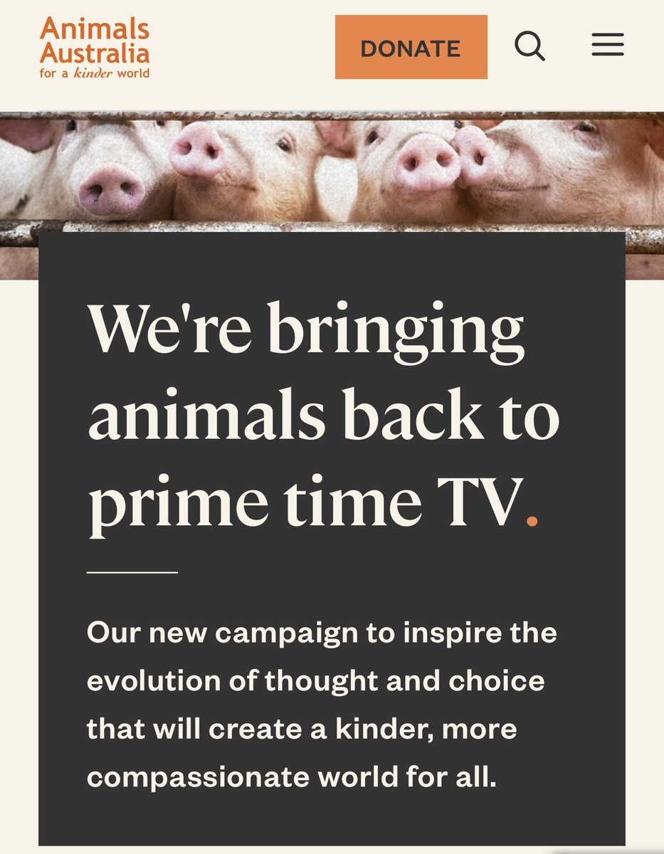 Bundogs's tweet photo. Nearly choked on my bacon sandwich watching the little piggy ad on TV 🤡#ffs #adoptapig #theftisnowlegal https://t.co/GQswn0xJ4y
