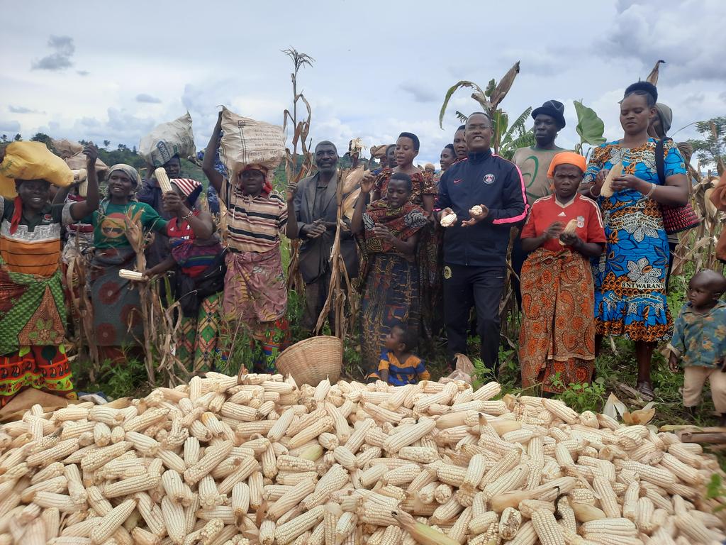 Avec les membres de la coopérative Sangwe Businde, nous avons procédé à la récolte de notre champ de mais de 2.5hectares
Merci à tous les membres de la coopérative, ensemble nous vaincrons l ennemi commun: la pauvreté #Kayanzaprovince
