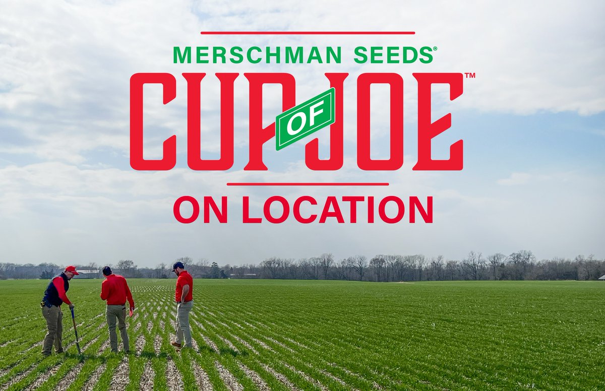 NEW episode of Merschman Seeds Cup of Joe! We're on location with Nolan Wilkens chatting about managing high-yielding wheat in West Central Illinois. Don't miss it! youtube.com/watch?v=Jd-D8m…
