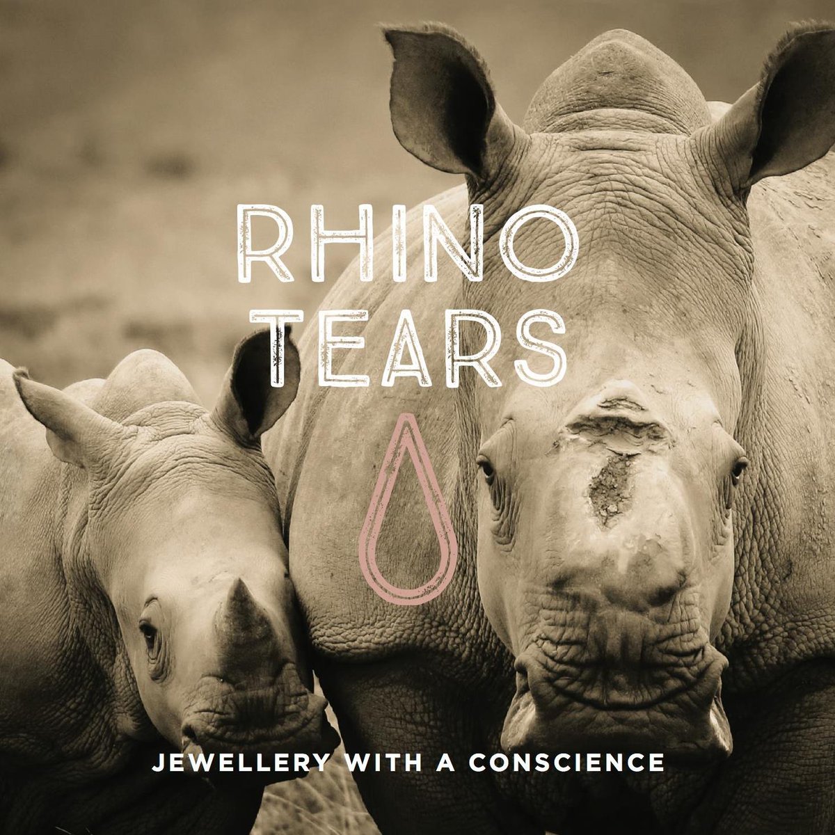 ProjectRhinoKZN tweet media