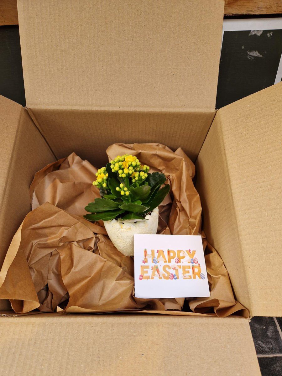 SnapDocklands's tweet photo. This Easter, we decided to promote sustainability and growth through the choices we make in gifting. 

What a great idea to send a plant as a gift, something that’ll be rooting for them! 

#corporategifting #snapireland #corporategifts #employeeappreciation #easter #happyeaster https://t.co/kDHtz7TuvA