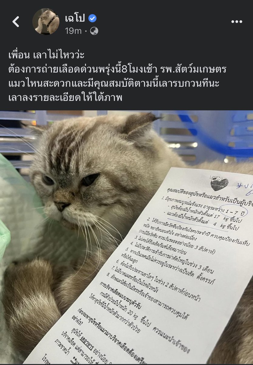 ⟡ tweet media