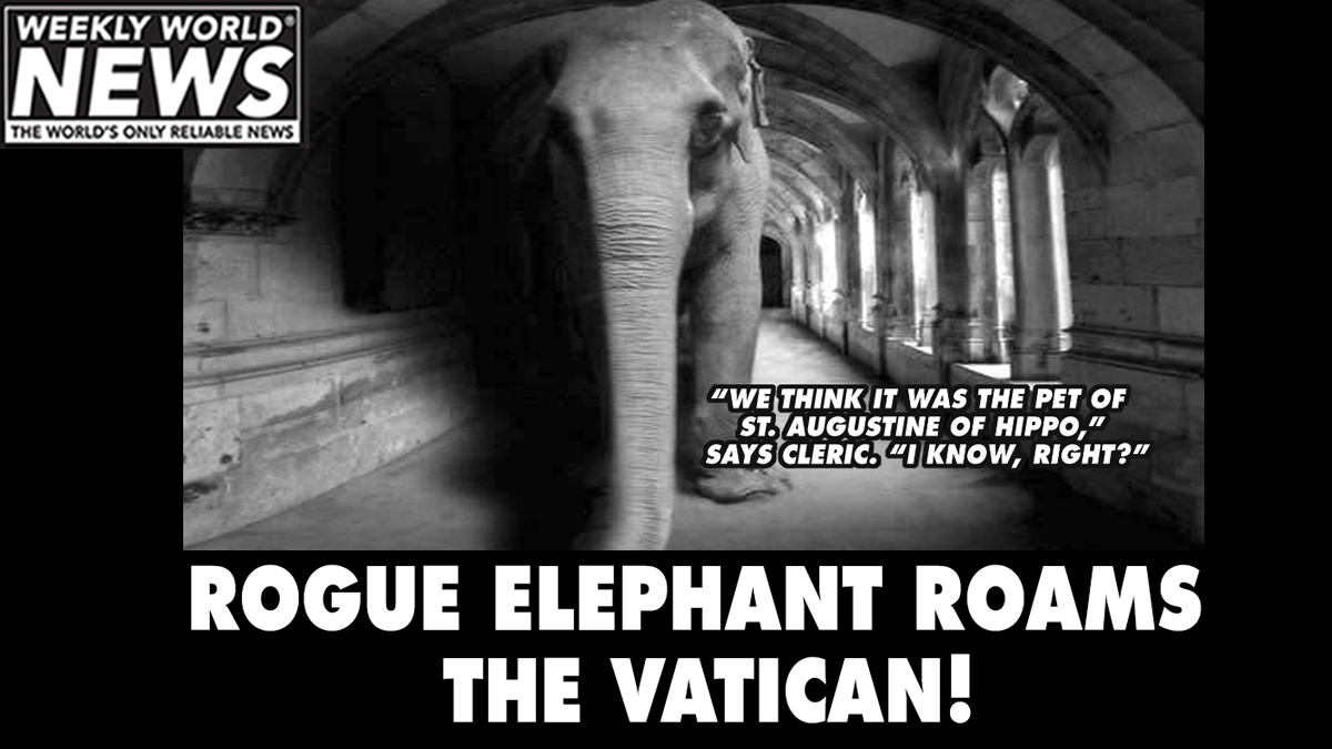 How did it get there?  What is its purpose?
'That is a mystery the Pope is looking into.'
#elephants #thevatican #thepope #rogue #sistinechapel #roam