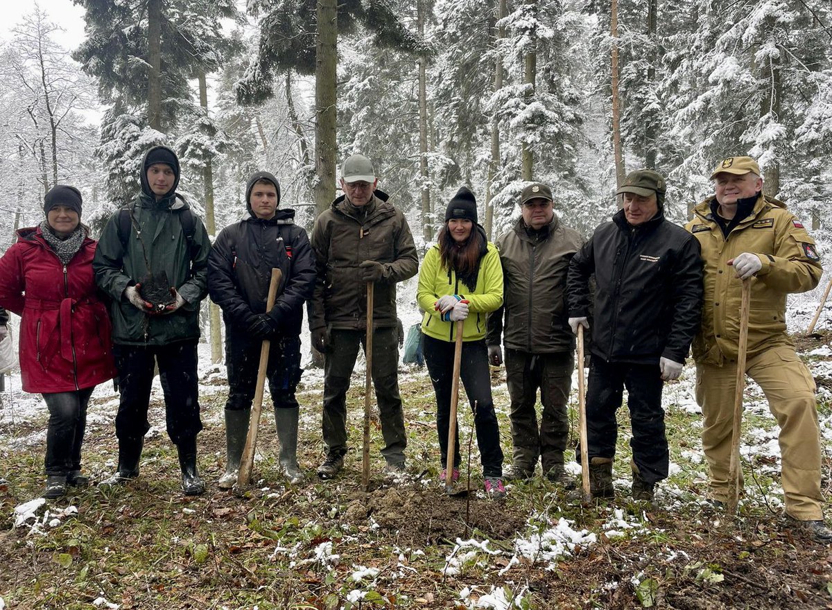 ESiarka's tweet photo. Sadzimy Lasy Pamięci Jana Pawła II🕊️

Papież kochał góry i górali! Odpowiadamy na Jego wezwanie, by troszczyć się o przyrodę🌲

#ŁącząNasDrzewa #SolidarnizJPII https://t.co/Llo6kRyucT