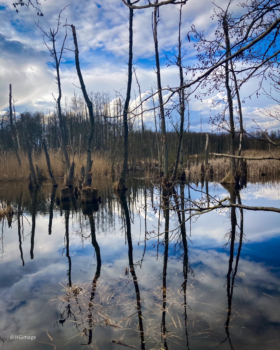 HGimage_'s tweet photo. It doesn’t look like spring season in Poland 

#poland #szczecin https://t.co/9OVuM61Iy2