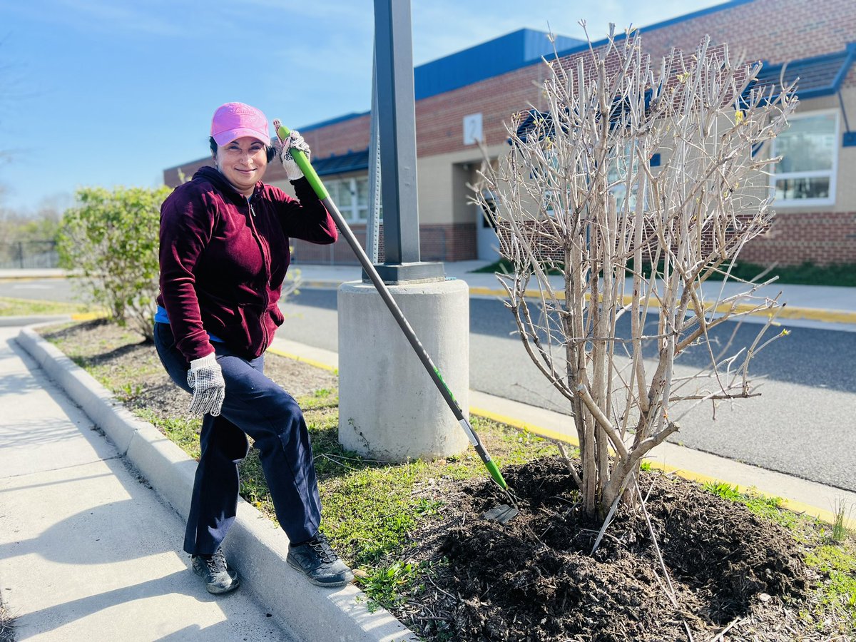 BucknellElem's tweet image. Hands down… hardest working head custodian! Reina and the crew are working hard to beautify our grounds #SpringBreakVibes #BucknellStrong