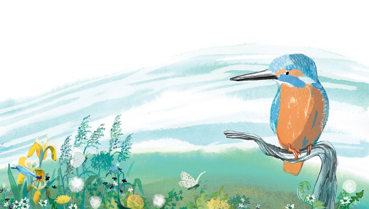 So thrilled that this little chap is finally out in the wild this week 💚

#GrandpaAndTheKingfisher 
by the amazing @acwilsonwriter and <a href="/NosyCrow/">Nosy Crow</a>. 
And me.

#ChildrensBooks #Kingfisher #NewBook