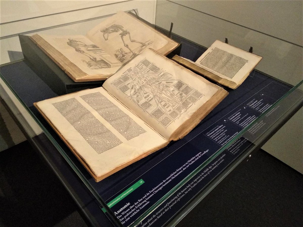 caiuslib's tweet photo. @Gutenbergmuseum She even found a display of medical texts, including one by Vesalius like the one on display in our ongoing ‘Under the Knife’ exhibition.  📖 #LibrariansVisitingLibraries(and museums!) https://t.co/hSLksRj6CW