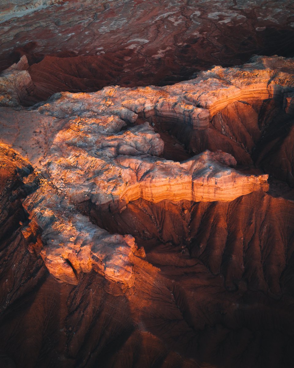 The Claw Of The Desert