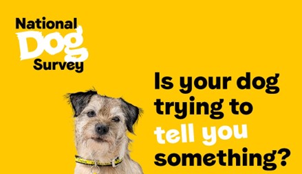 how much does it cost to adopt from dogs trust