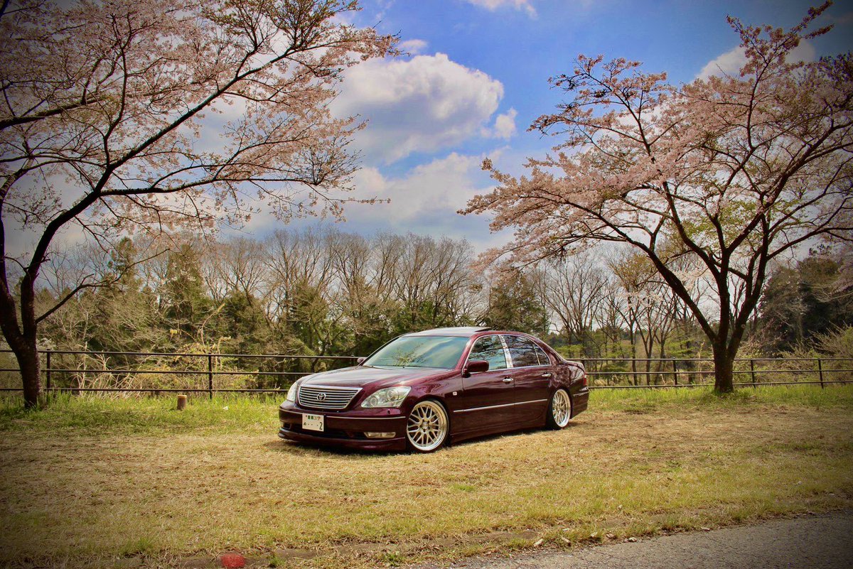 rechimaru_0831's tweet photo. 桜×セルシオ https://t.co/PAgnbAOYwK