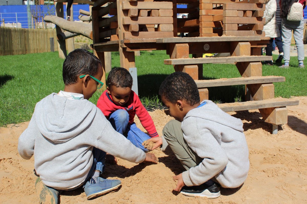 Timberplay tweet media