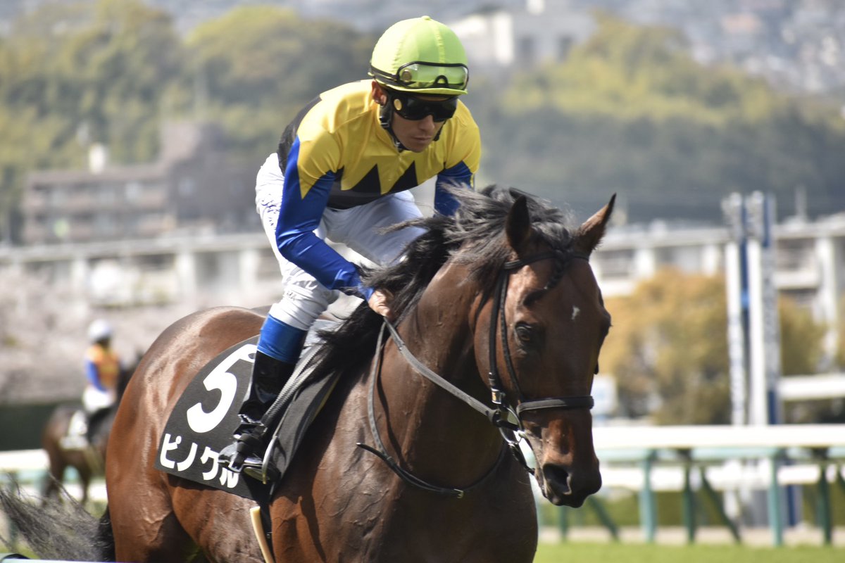 サウンドビバーチェ　実使用ゼッケン 　ターコイズS（G3）浜中俊騎乗 SU-su (@sgrU_hmnkA) / X