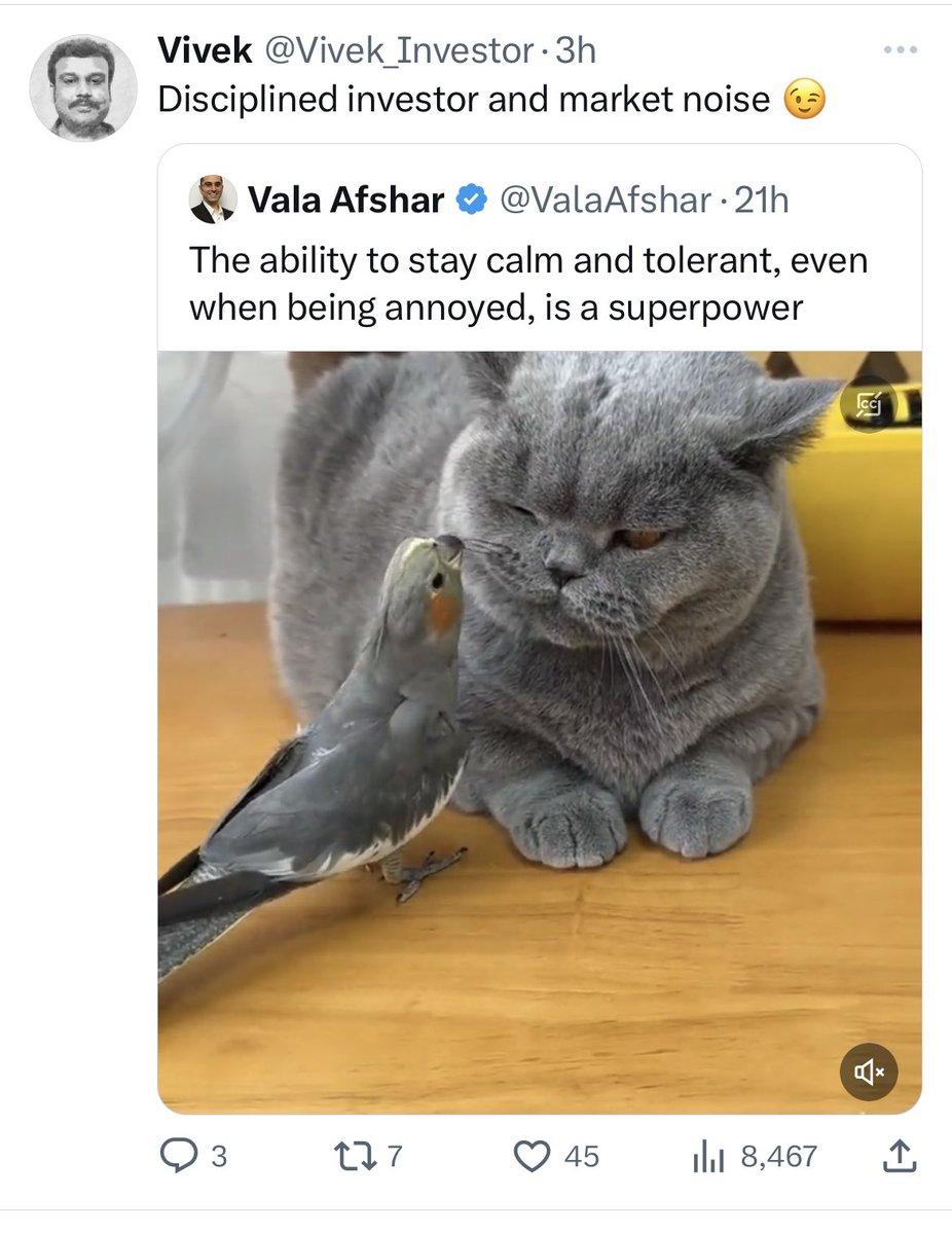 Startup founder and constant distraction 😅
