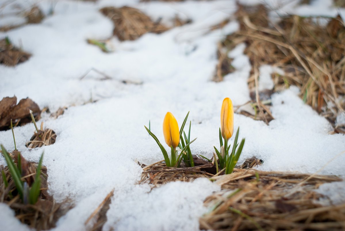 Welcome to Outdoor Week 2023: It’s thirty-six degrees here in Minnesota as I sit down to write this. We’re supposed to get up to 10 inches of snow tonight. But despite what the weather outside tells me, it is indeed spring. Soon we’ll emerge from … 
… https://t.co/brqpJ9ypki https://t.co/tNYfr1ri9u