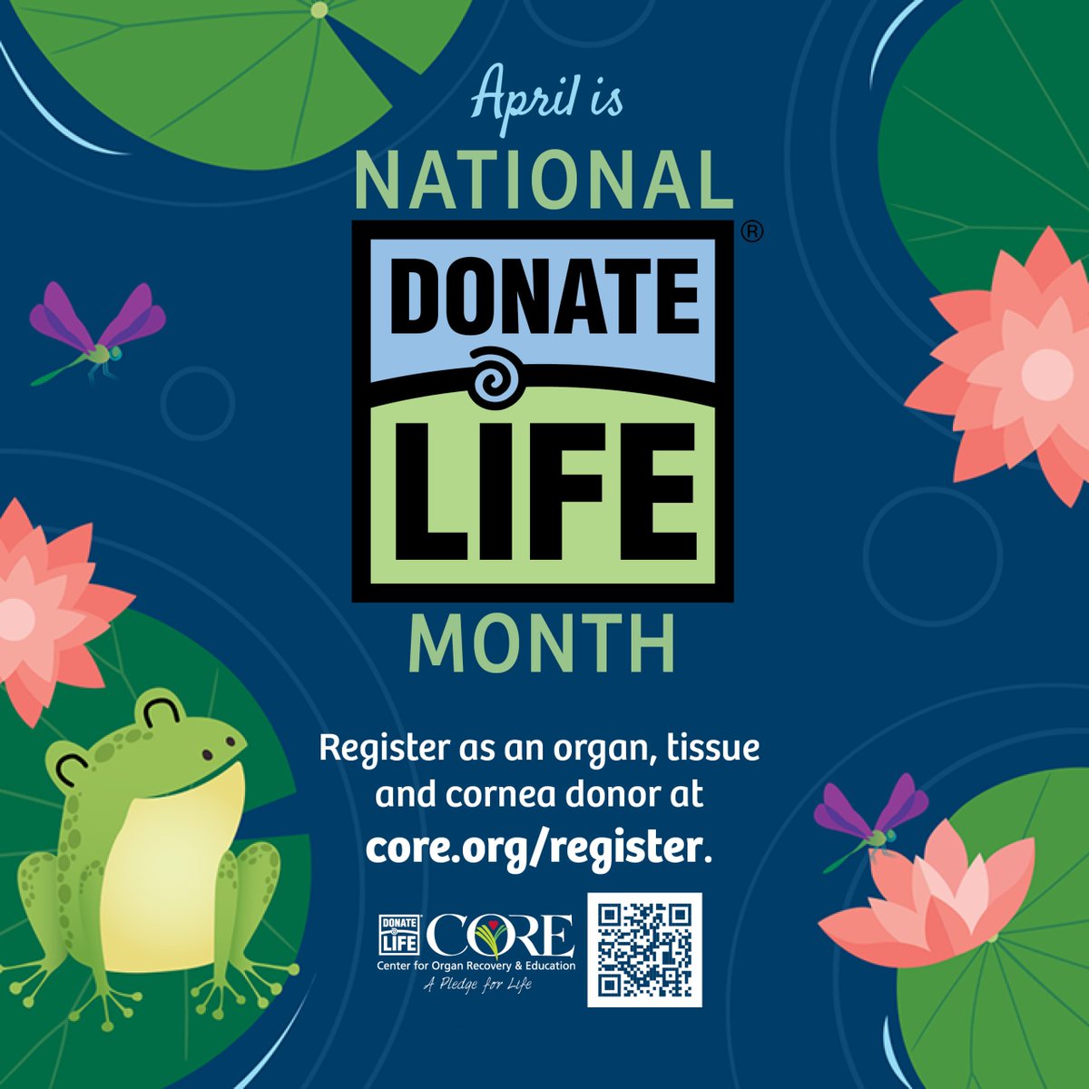 thomashopsitals's tweet photo. April is National Donate Life Month! 

By donating organs, one individual can help up to eight people, while tissue donors can improve the lives of up to 75 people.

For more information on becoming an organ donor, visit: https://t.co/OQ3Tx7PgzV https://t.co/9SMEpJNTJh