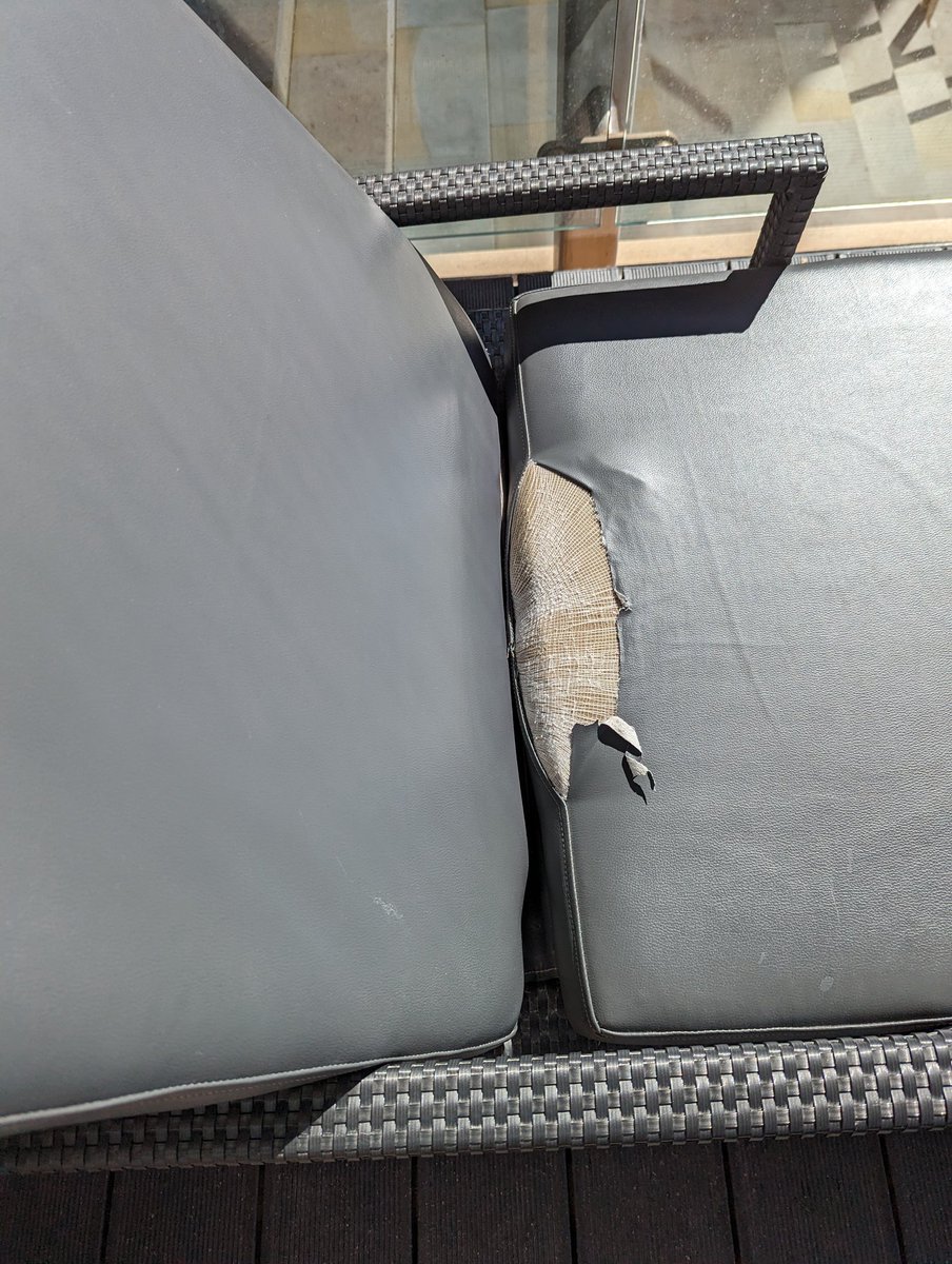 Tiina Erameri tweet media