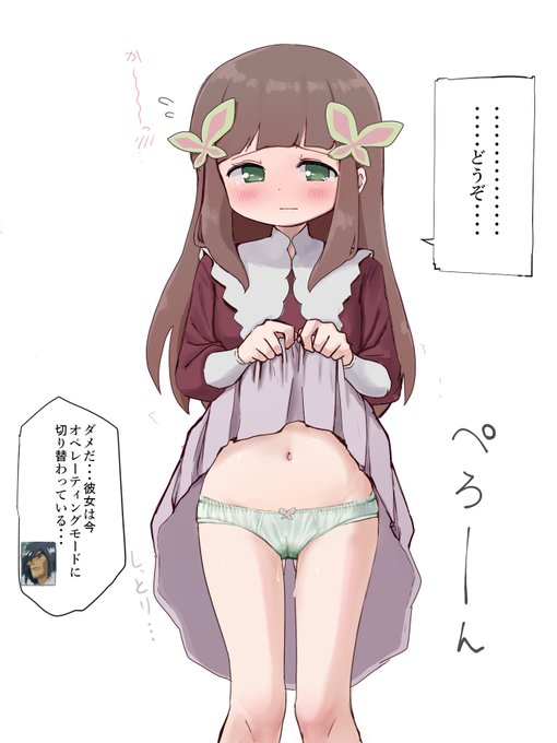 アイリス オペレーティングモード 